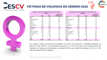 VÍCTIMAS DE VIOLENCIA DE GÉNERO 2022